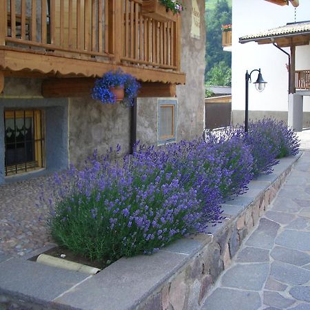 Maso Vaia Bed & Breakfast Cavalese Exterior foto