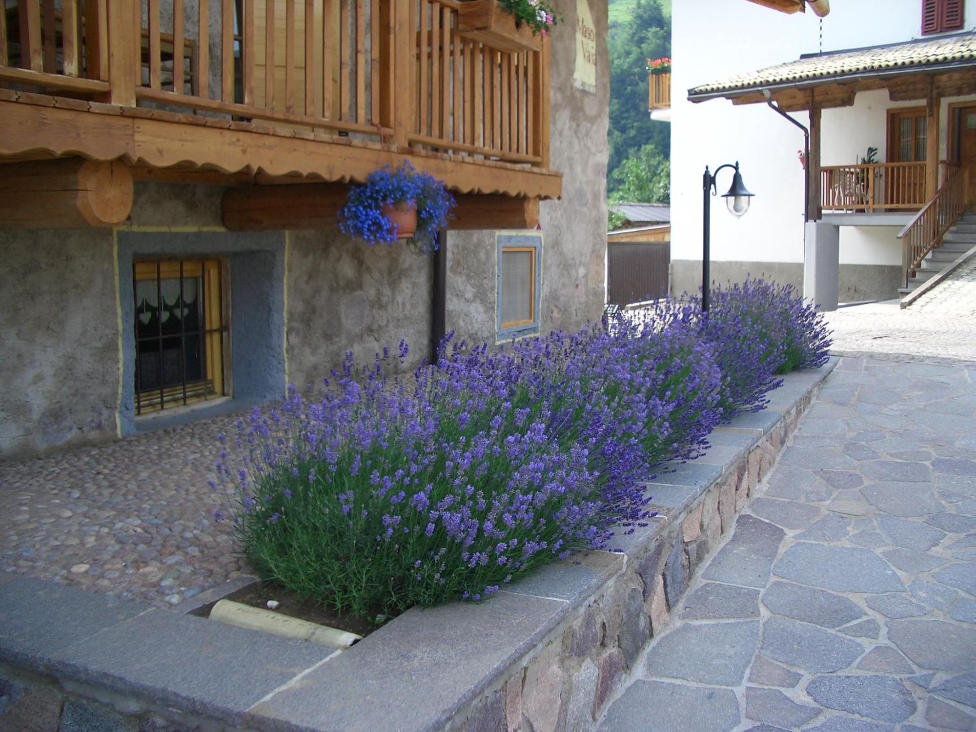 Maso Vaia Bed & Breakfast Cavalese Exterior foto